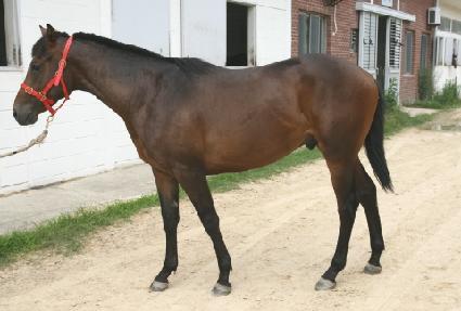 �Ķ� ����