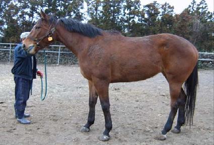 ������� ����