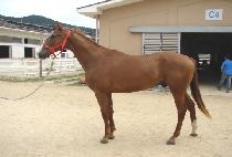 �������¾� (SEONGSANUI TAEYANG) ����