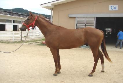 �������¾� ����