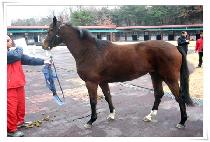 ����ȭ�� (HANHYEOLHWASIN) ����