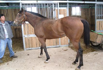 ������� ����