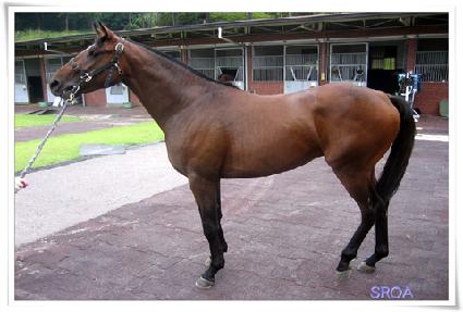 �ٶ�¸��� ����