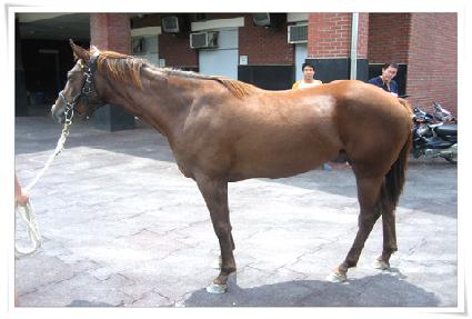 �ݰ��ǹ̷� ����