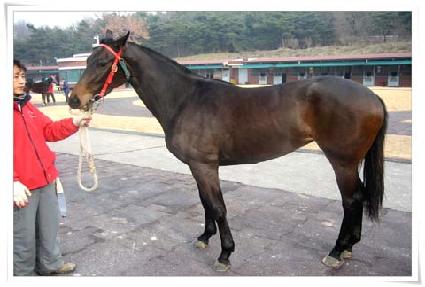 ũ�����̴� ����