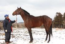 CHEONNYEON DAERO picture