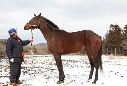 õ���� ����