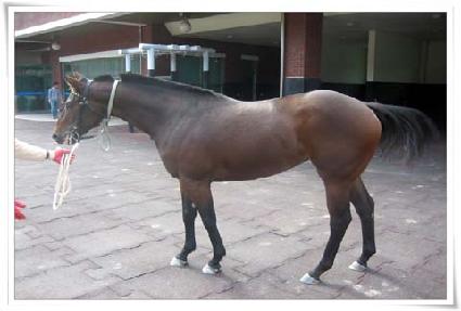 ����� ����