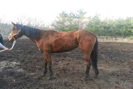 �츮�� ����