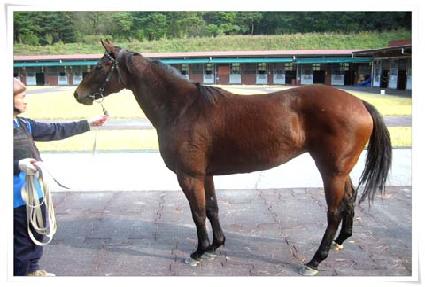 ����ũ��� ����