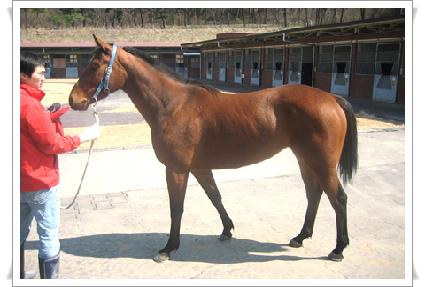 ������ ����