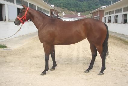 ���꿣�� ����