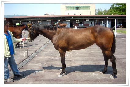 õ�⿵�� ����