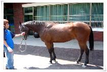 CHOWONTEUNGMYEONG picture