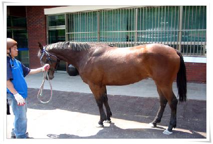 �ʿ�Ư�� ����