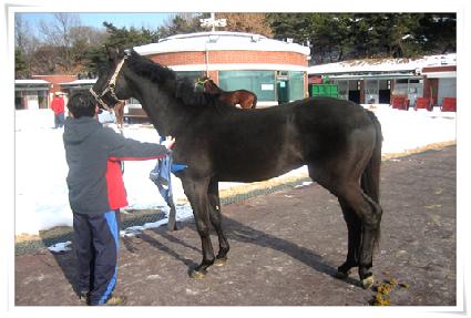 ������ ����