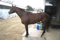 ���̽��÷��� (NICE PLAY) ����