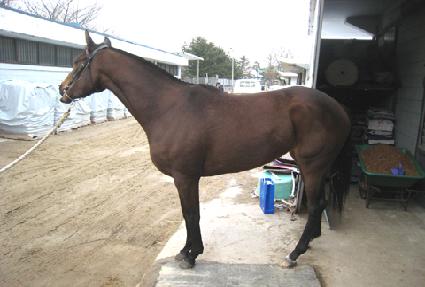 ���̽��÷��� ����