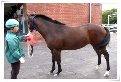 �ʿ����� ����