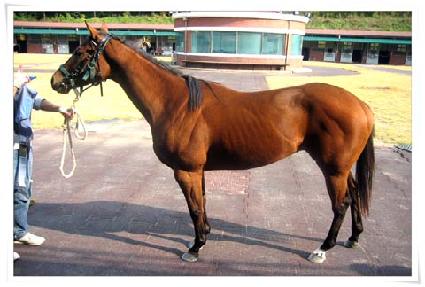 ����ְ� ����