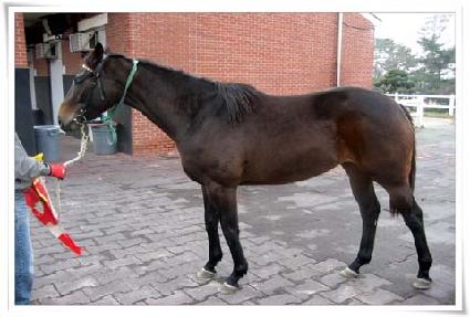 �ݾߺ� ����