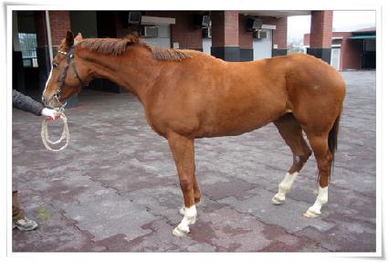 �뼼��� ����