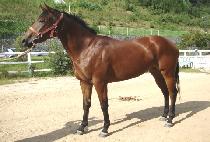 ���� (BEONGAE) ����