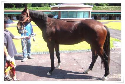 �ʿ����� ����