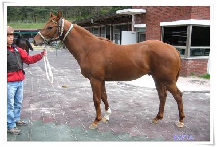 ������ ����