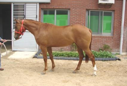 �����۵� ����