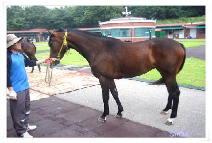 �����׸� ����