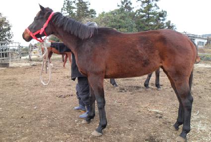 ���̴����� ����