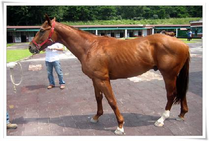 �Ʊ� ����