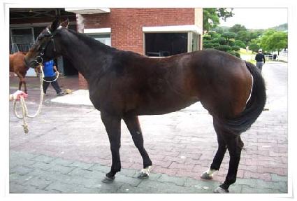 ����Ʈ�ϴ� ����