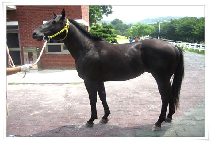 ���������� ����