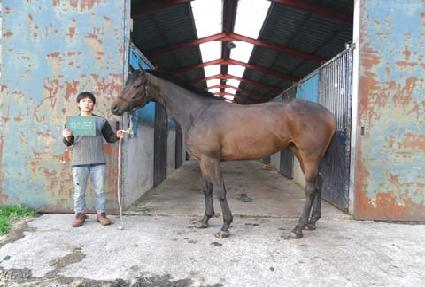 �������� ����