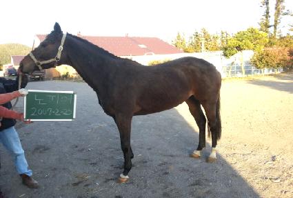 ���Ǿ� ����