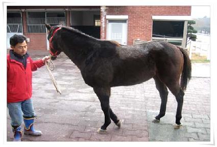 ��ī���� ����