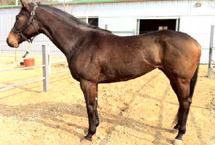 û�굵 ����