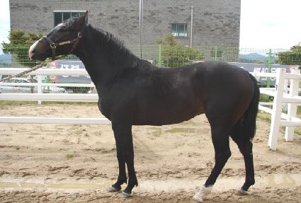 ��������� ����