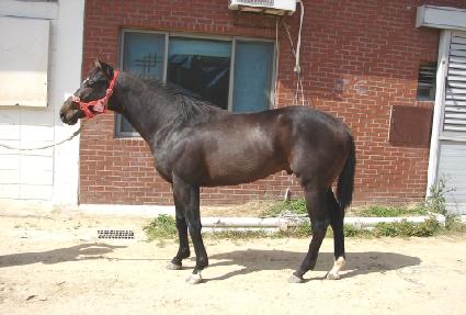 Ÿ�����ö��� ����