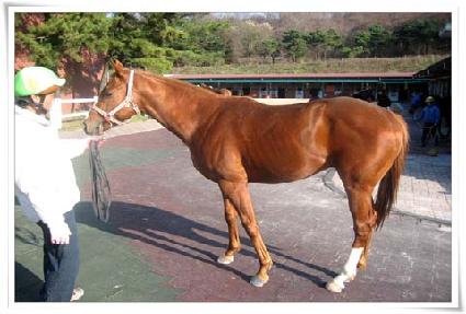 �����ѽ¸��� ����