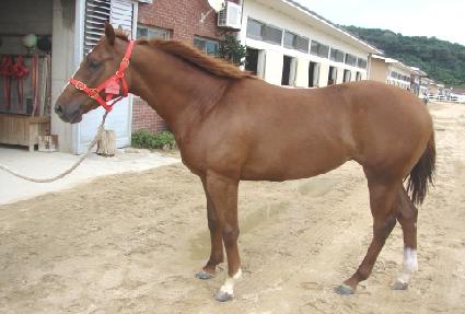 ��Ŀ���� ����