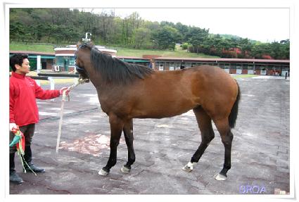 ��ý��� ����