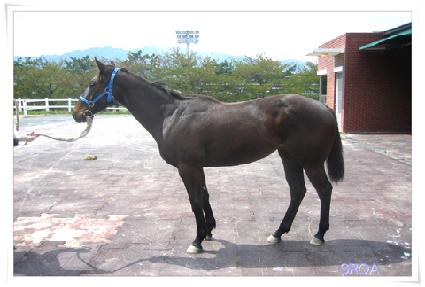 �Ҳɿ��� ����