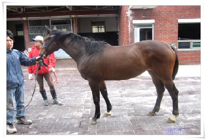 �����ϴ� ����