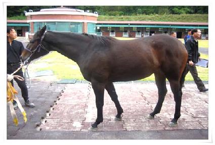 Ʈ������ ����