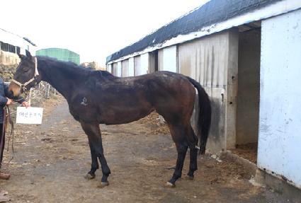 �����ö�� ����