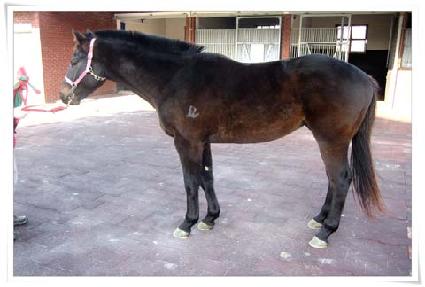 �Ͽ��� ����