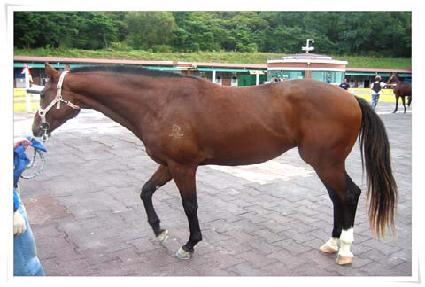 �ް�Ʈ�� ����